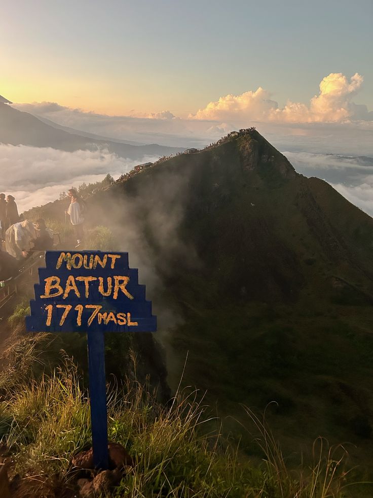 Kintamani/Mount Batur, Ubud sightseeing, Tegallalang Rice Terrace, Tegenungan Waterfall, Coffee Plantation & Bali Swing.